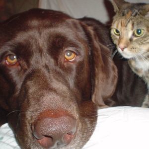 Meet your Posher, Judith